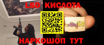 2c-b Кингисепп