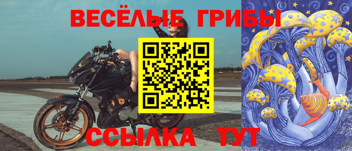 Галлюциногенные грибы Cubensis  Вход с VPN  Куйбышев 