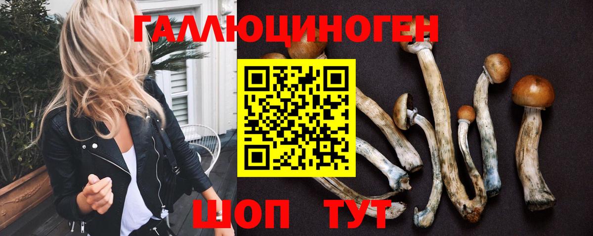 Галлюциногенные грибы прущие грибы Куйбышев